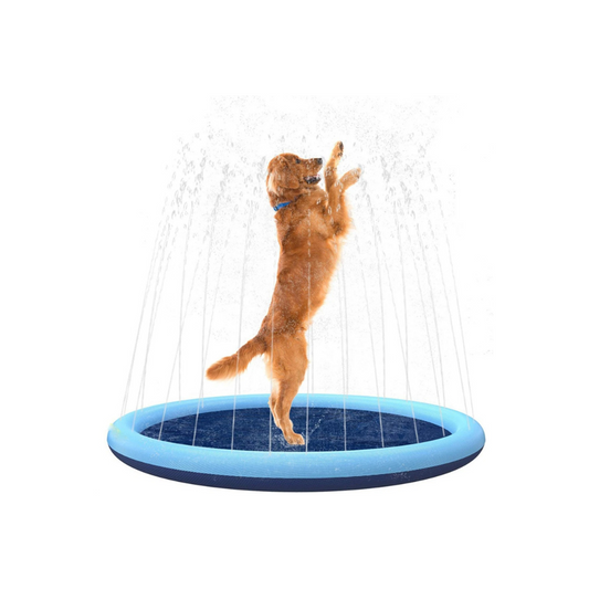 CoolPaws